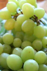 Grape - Green Seedless